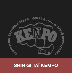 Le-Shin-Gi-Tai-Kempo
